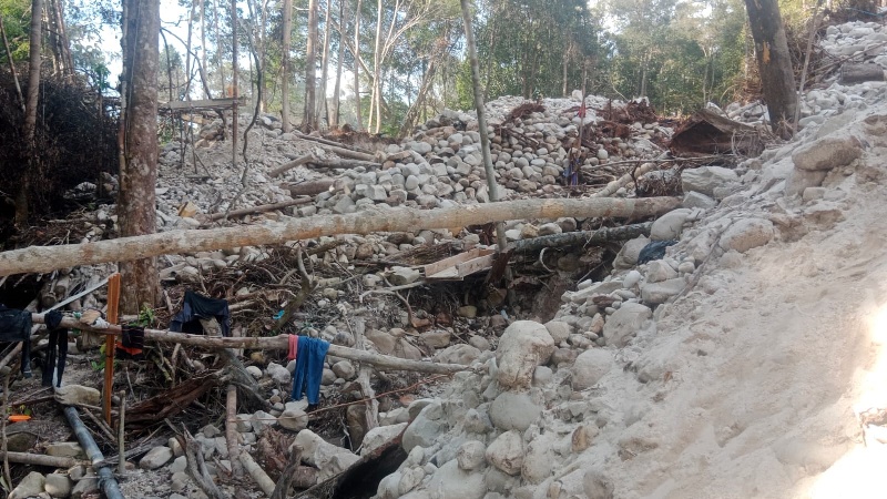 Hutan lindung yang sudah rusak akibat aktivitas PETI di Kecamatan Silat Hilir.