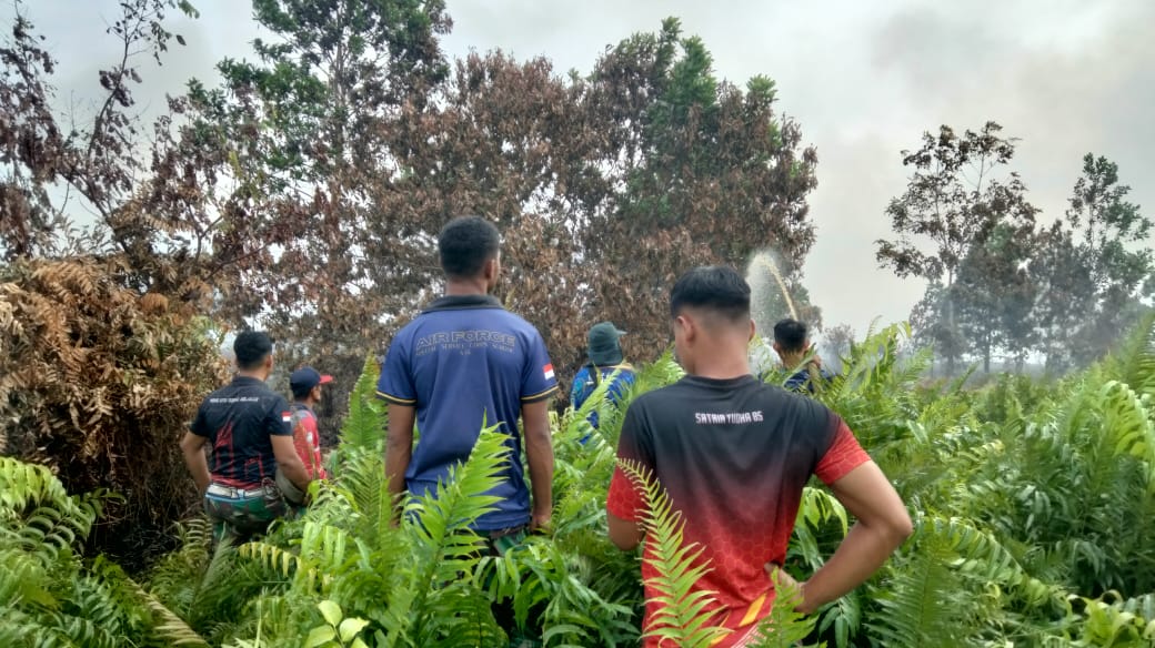 PADAMKAN: Petugas gabungan berjibaku memadamkan karhutla di Dusun Rasau Karya, Kecamatan Rasau Jaya, Kubu Raya, Rabu (11/6).
