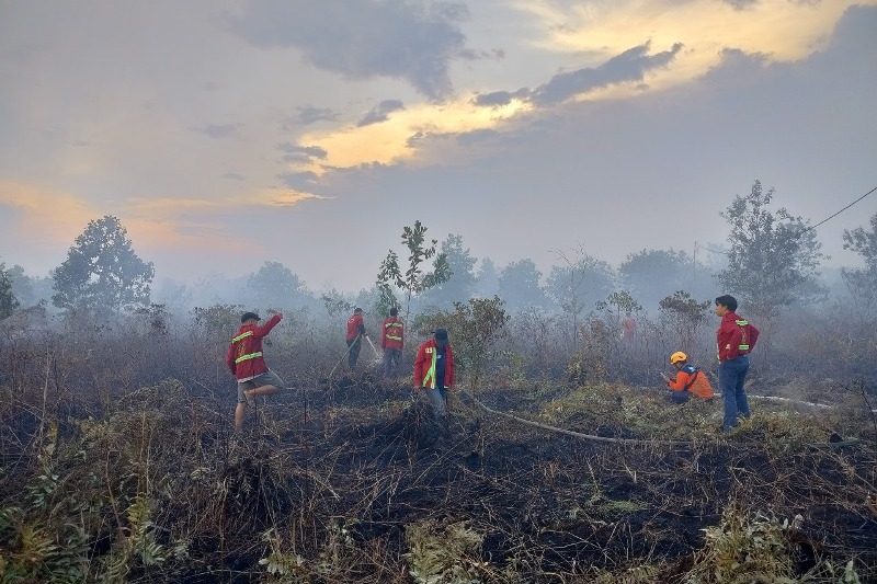 Tim gabungan berupaya memadamkan api karhutla di Desa Kuala Dua, Kecamatan Sungai Raya, pada Jumat (13/6).