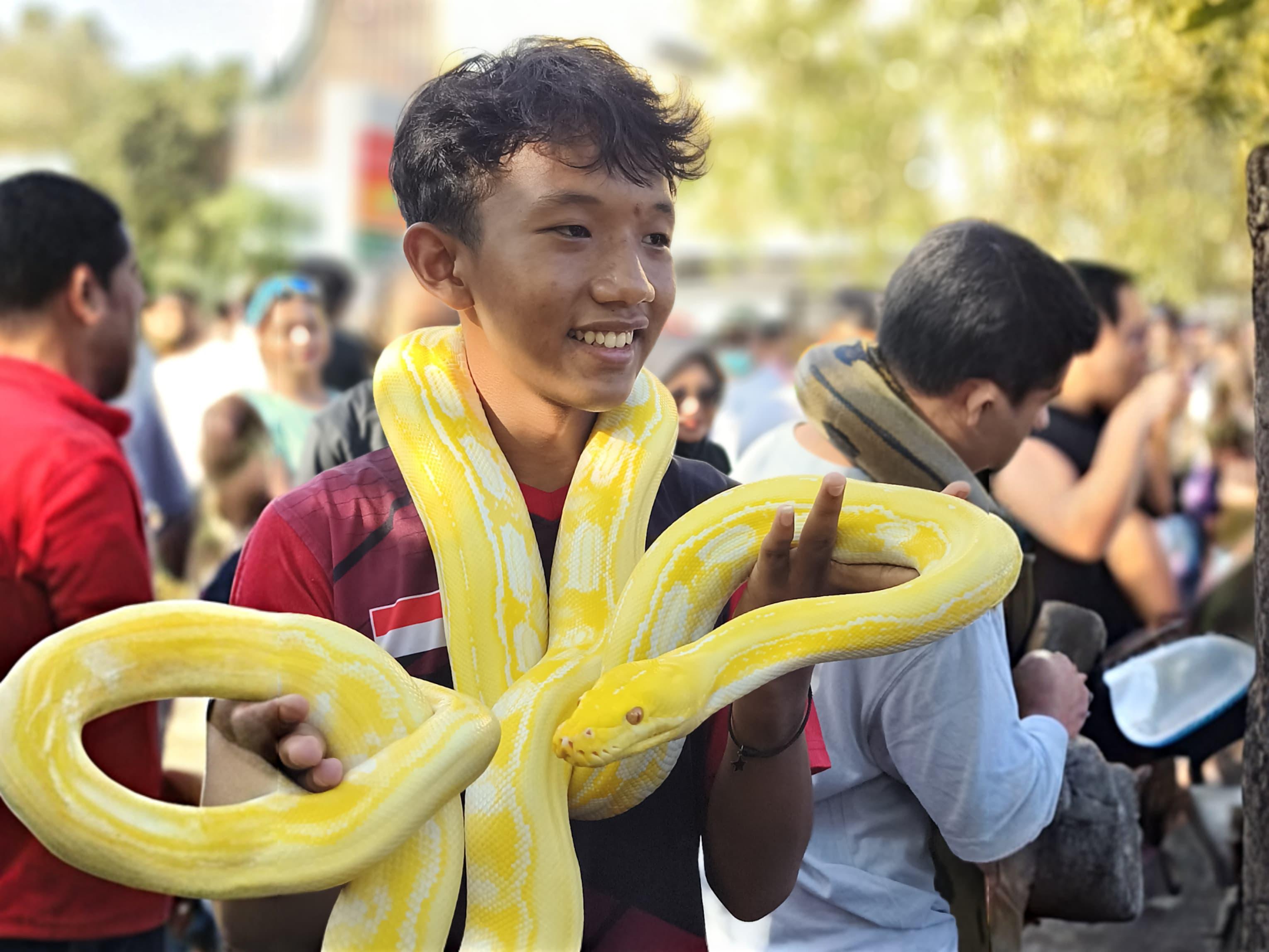 ANTUSIAS: Seorang pengunjung antusias mengabadikan momen dengan hewan yang ditampilkan oleh komunitas Independent Exotic Pets di area CFD Pontianak, Minggu pagi (15/6).