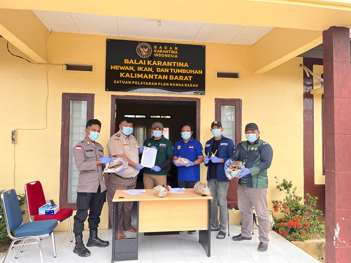 PLBN: Karantina Kalimantan Barat melalui Satpel PLBN Nanga Badau menyerahkan sejumlah media pembawa berupa produk hewan dan tumbuhan kepada KSDAE Kalimantan Barat.