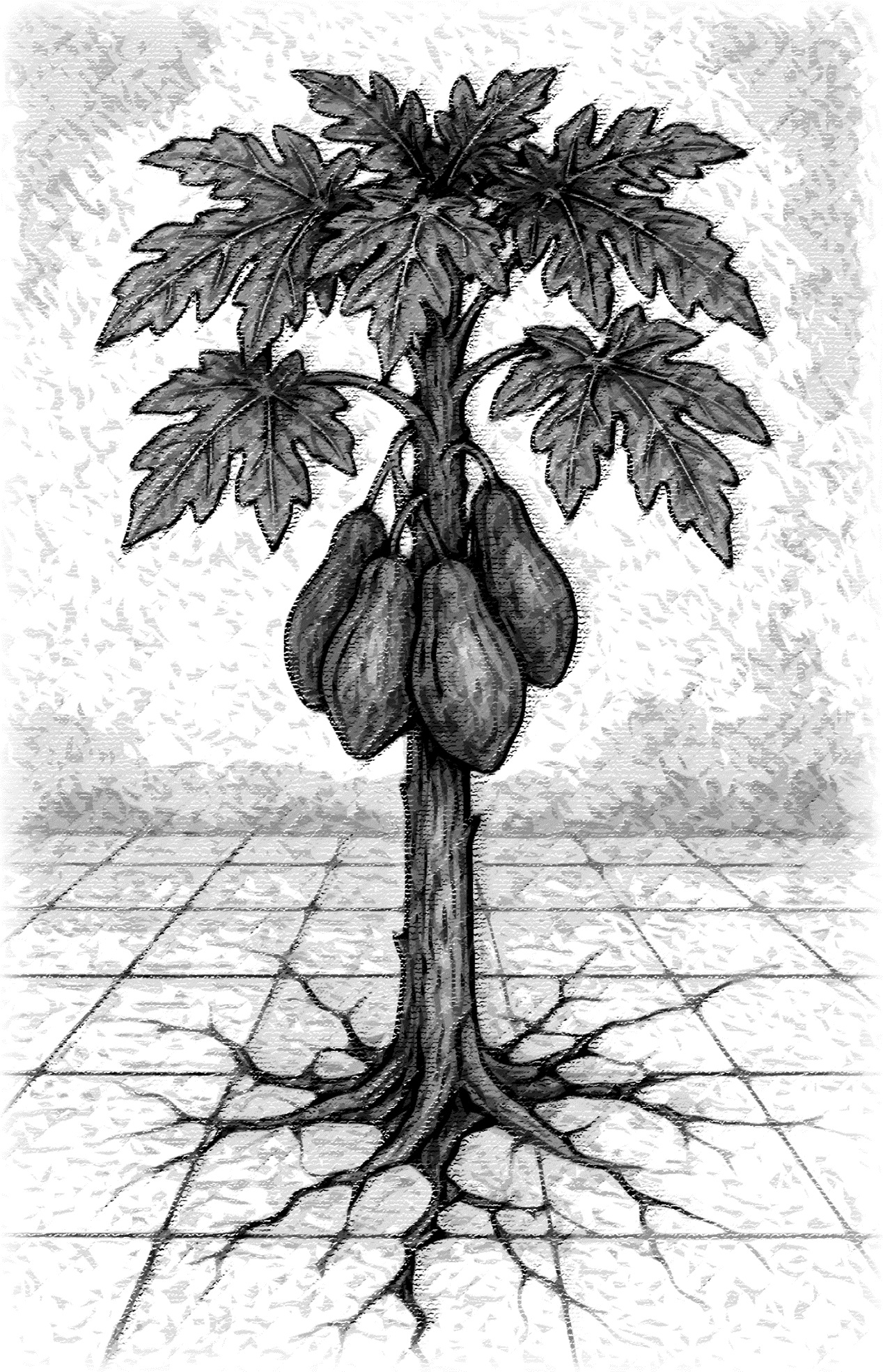 Ilustrasi