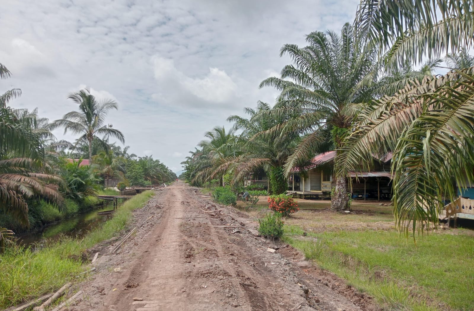 TANPA LISTRIK: Kawasan Transmigrasi SP4 di Desa Sungai Mata-Mata, Kecamatan Simpang Hilir, Kabupaten Kayong Utara, Provinsi Kalimantan Barat.