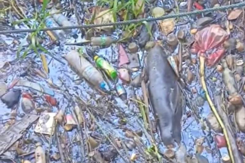 Bangkai lumba-lumba ditemukan di antara sampah di bawah jembatan di Singkawang, Sabtu (28/6/2025).