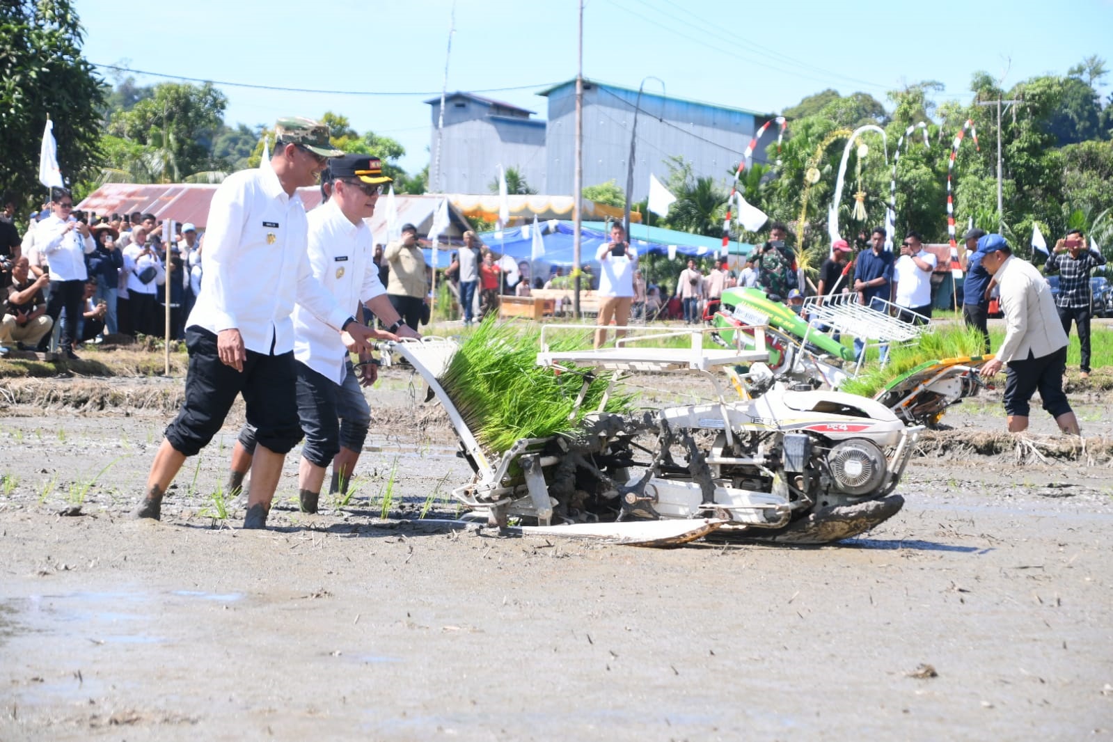PENANAMAN: Bupati Kayong Utara, Romi Wijaya, dan Wakil Bupati Amru Chanwari ikut dalam kegiatan tanam padi bersama di Desa Sedahan Jaya, Kecamatan Sukadana.