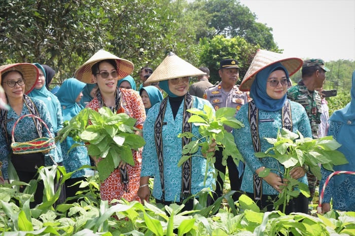 KEBUN PERCONTOHAN: Ketua Tim Penggerak PKK Provinsi Kalimantan Barat, Erlina Norsan, bersama Wali Kota Singkawang, Tjhai Chui Mie, saat berkunjung ke Kebun Percontohan Dasawisma Flora.