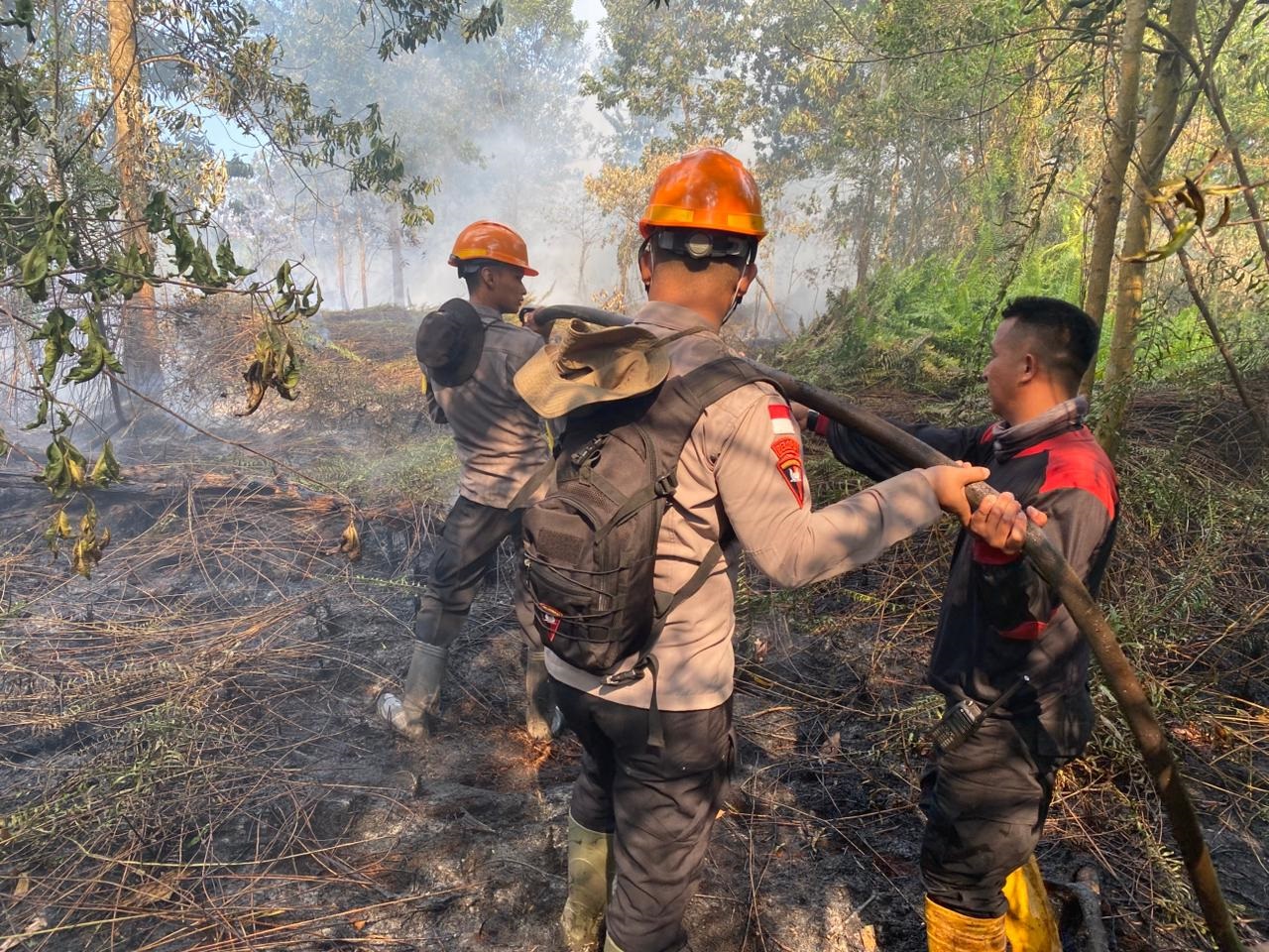 PADAMKAN KARHUTLA: Tim gabungan berjibaku memadamkan kebakaran hutan dan lahan yang melanda sejumlah titik di Kubu Raya.