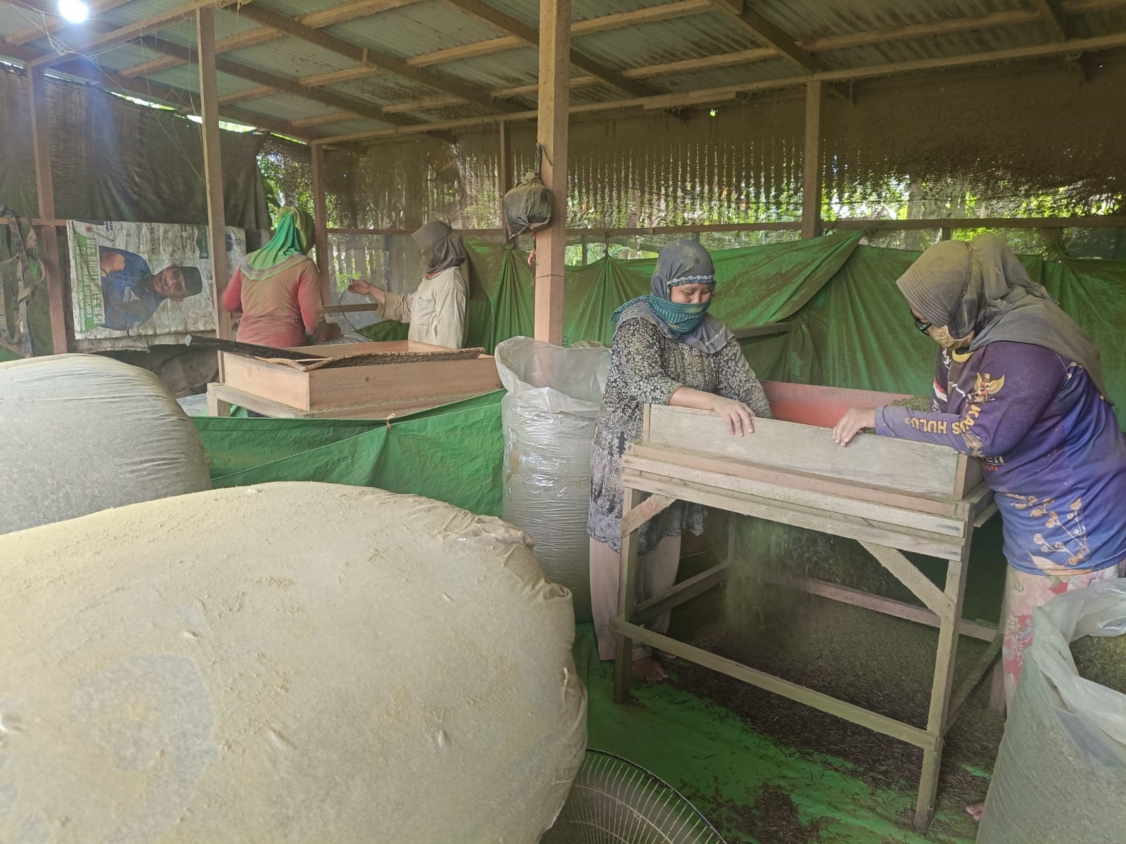KRATOM : Pengolahan Kratom yang dilakukan warga Kelurahan Kedamin Hulu. Adanya Kratom saat ini memberikan dampak positif bagi masyarakat.
