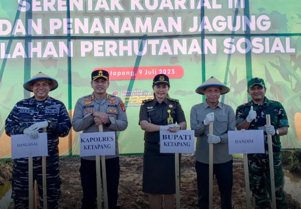 TANAM JAGUNG : Sekda Ketapang, Repalianto, dan jajaran Forkopimda melakukan penanaman jagung di Desa Sungai awan kanan, Kecamatan Muara Pawan, Rabu (9/7).