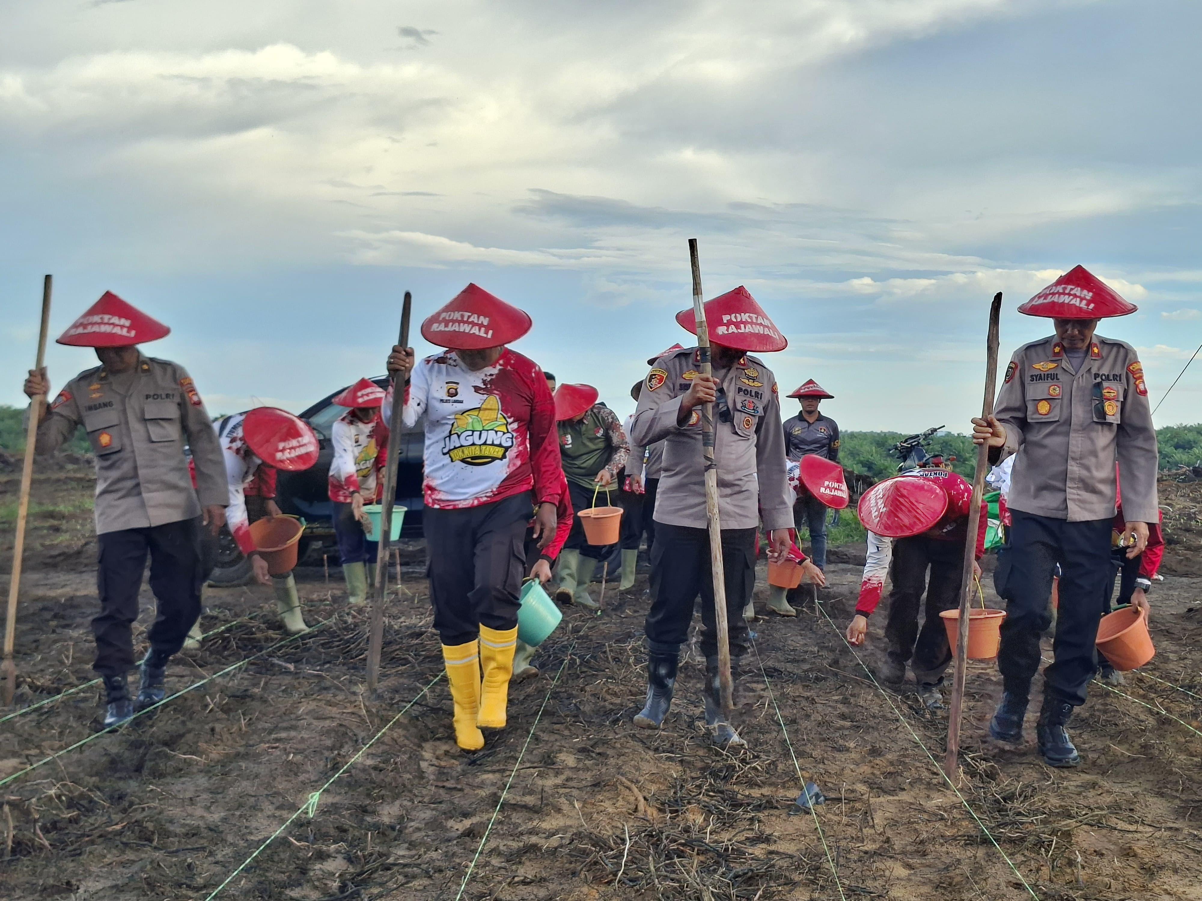 PANGAN : Polres Landak melaksanakan penanaman jagung secara serentak dalam upaya mendukung program swasembada pangan tahun 2025 di lahan Perhutanan Sosial Demplot Poktan Rajawali.