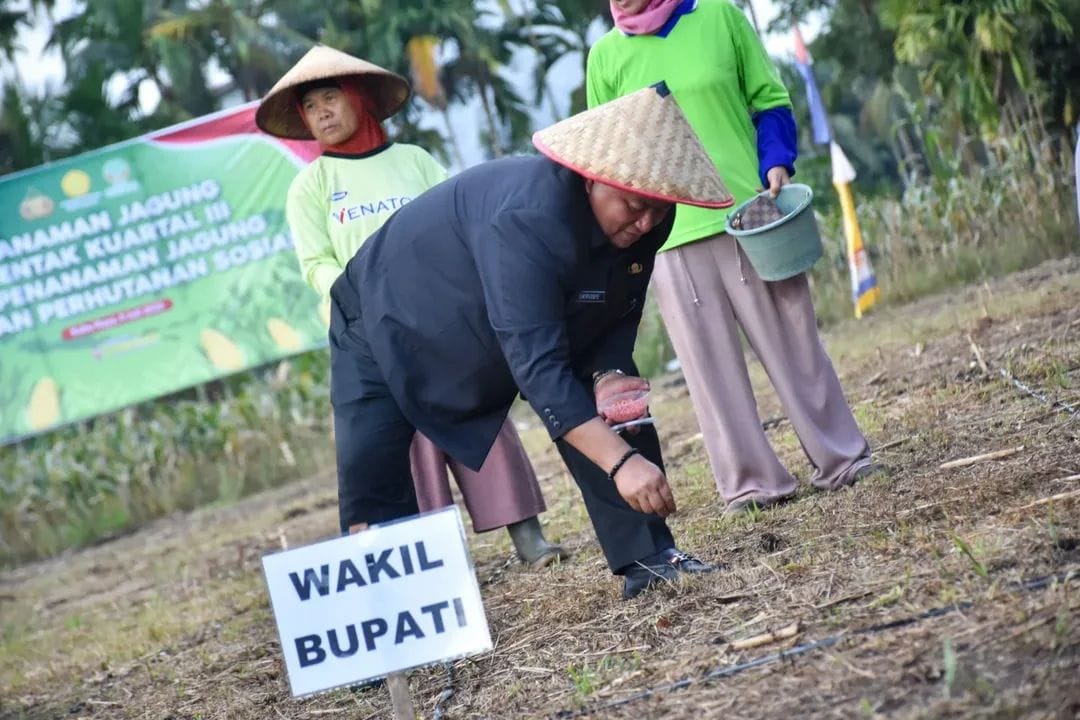 TANAM JAGUNG: Wakil Bupati Kubu Raya Sukiryanto saat menanam jagung serentak di Dusun Mulyo Rejo, Desa Bintang Ma pada, Rabu (9/7), sebagai bagian dari program ketahanan pangan nasional.
