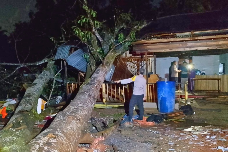 Pohon tumbang menimpa warung kopi di Jalan Trans Kalimantan Sungai Ambawang Kubu Raya pada Sabtu (12/7) malam.