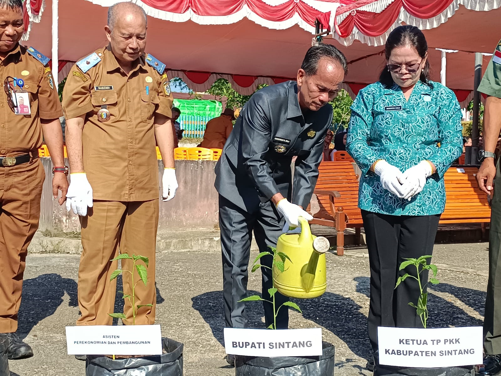 TANAM CABAI: Bupati Sintang menanam cabai pada kegiatan Takin Keren, Senin (21/7). Kegiatan ini diharapkan dapat mendorong budaya berkebun di lingkungan masyarakat.