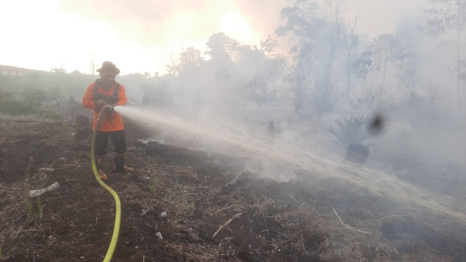 KARHUTLA: Tim gabungan BPBD Kalbar bersama relawan dan aparat TNI-Polri melakukan pemadaman karhutla di Gang Bahagia, Desa Limbung, Kubu Raya, Selasa (22/7) sore.