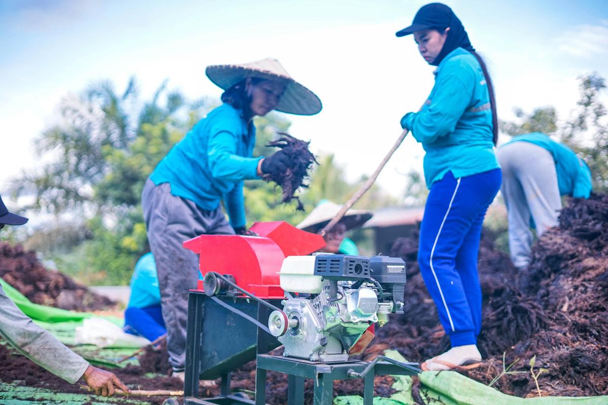 Penggunaan mesin Slikos oleh Kelompok Tani Melati Natai untuk membuat pupuk Tankos, Rabu (23/7).