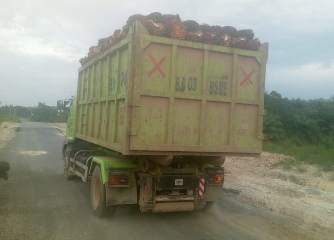 SAWIT : Truk sawit pengangkut sawit yang dituding jadi pemicu rusaknya Badau - Empanang.