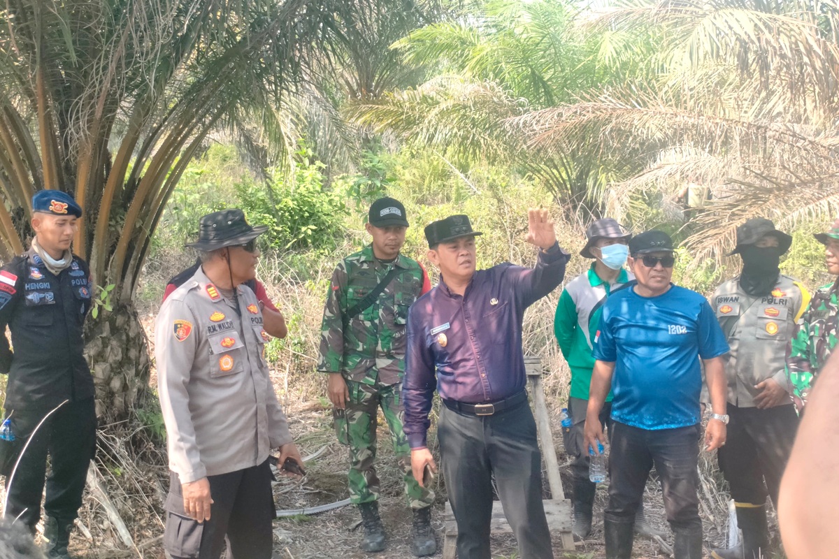 Wakil Wali Kota Singkawang, Muhammadin, saat meninjau lokasi karhutla bersama tim gabungan.