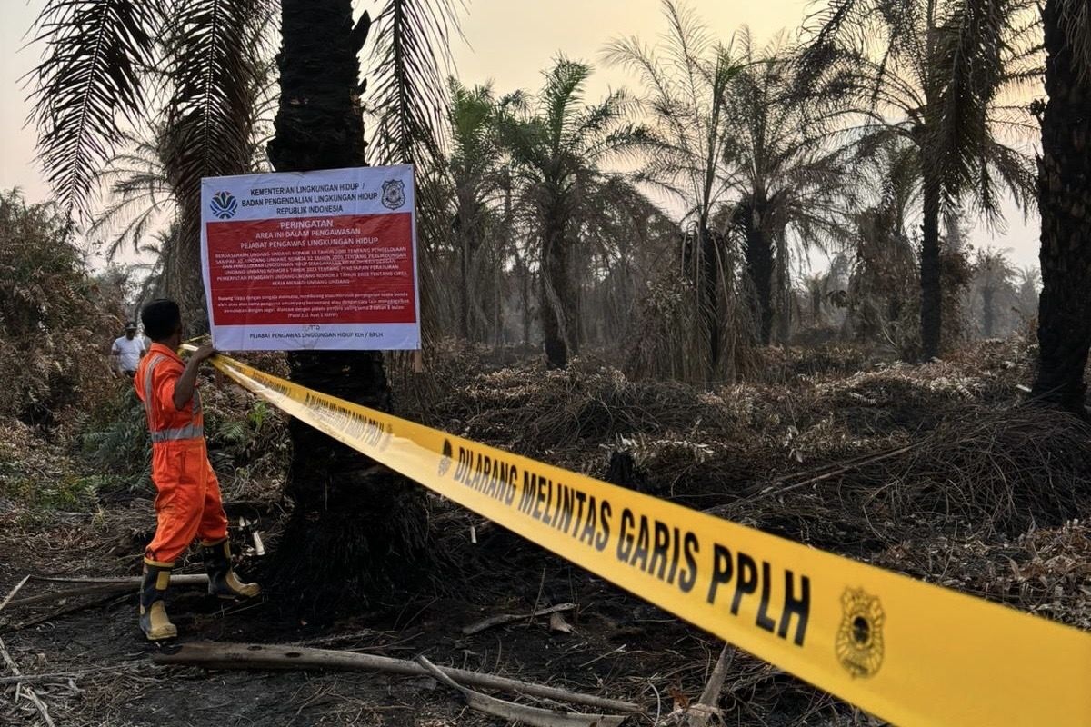 DISEGEL: Petugas memasang garis peringatan dan papan segel di perkebunan sawit milik perusahaan yang memicu kebakaran hutan dan lahan di Riau.