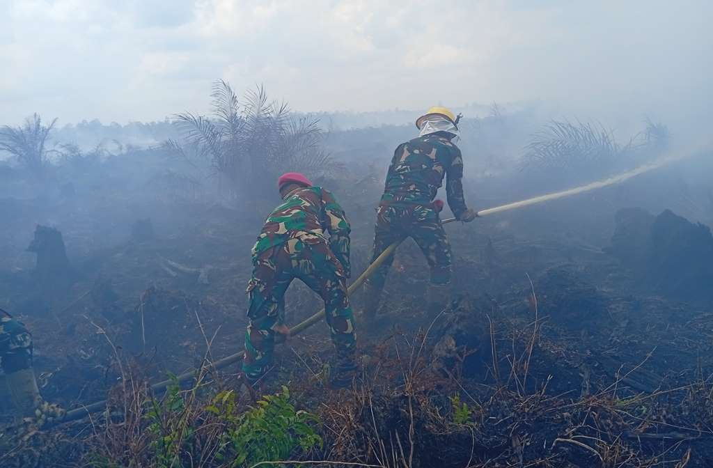 KARHUTLA: Petugas gabungan sedang memadamkan karhutla di Desa Pasir.
