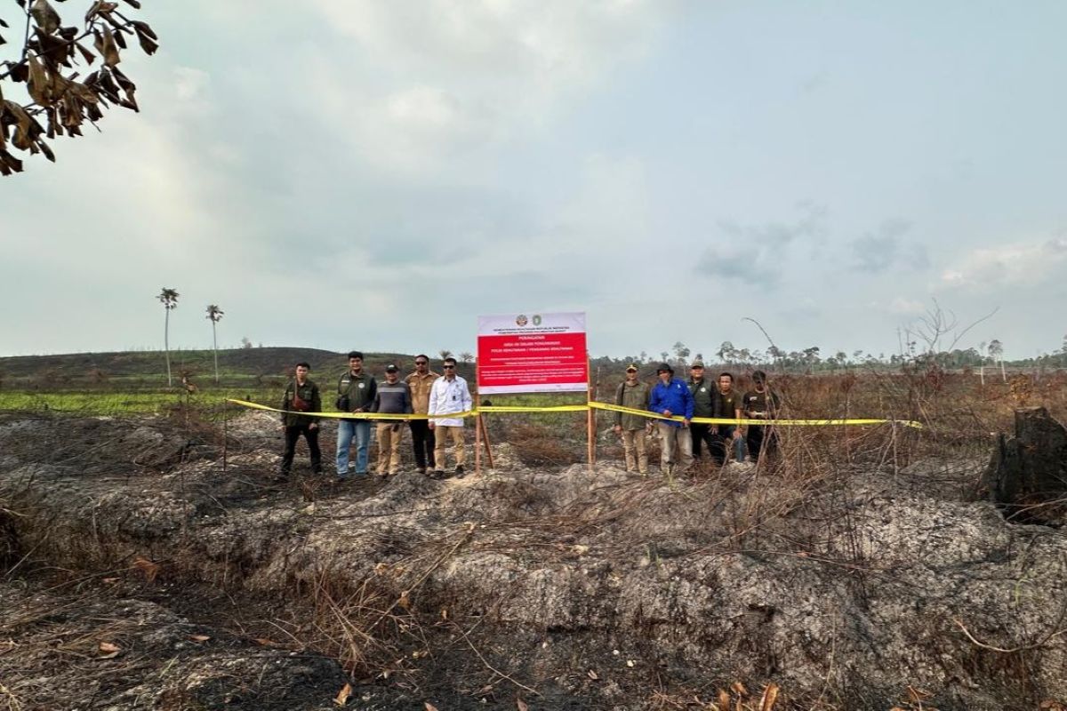 Tim gabungan pengawas kehutanan saat melakukan penyegelan terhadap dua perusahaan pemegang izin PBPH, yakni PT CMI di Kabupaten Sanggau dan PT FWL di Kabupaten Sambas.