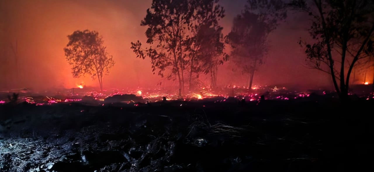 KABUT ASAP: Kebakaran lahan gambut disalah satu titik Kecamatan Sungai Raya, Kabupaten Kubu Raya memicu kabut asap yang mengganggu aktivitas dan berdampak pada kesehatan masyarakat sekitar,(28/7).