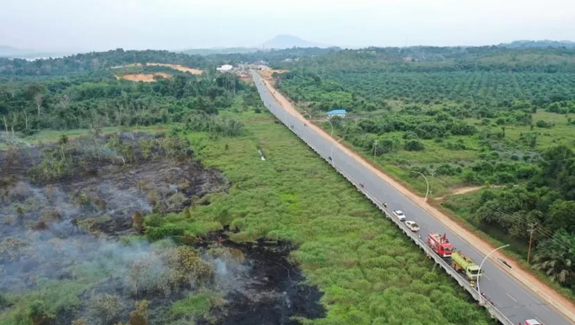 Kebakaran hutan dan Lahan di Kecamatan Tayan Hilir