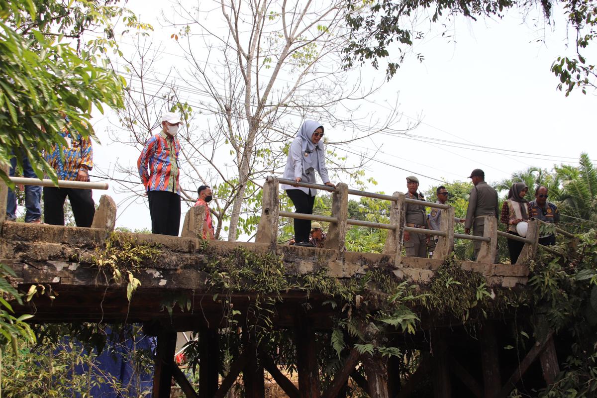 Bupati Mempawah Hj Erlina didampingi jajaran meninjau langsung kondisi jembatan rusak di Desa Toho Ilir, Kamis (31/7).