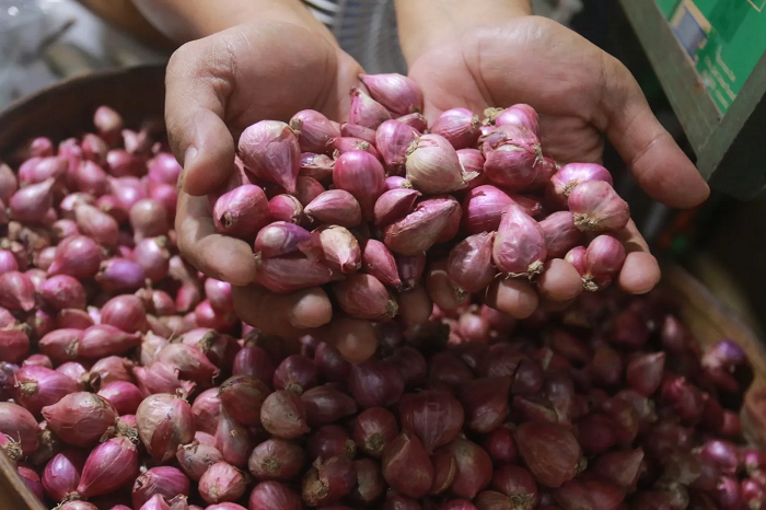 MAHAL: Harga bawang merah naik signifikan. Tembus Rp65 ribu per kilogram di Sambas.