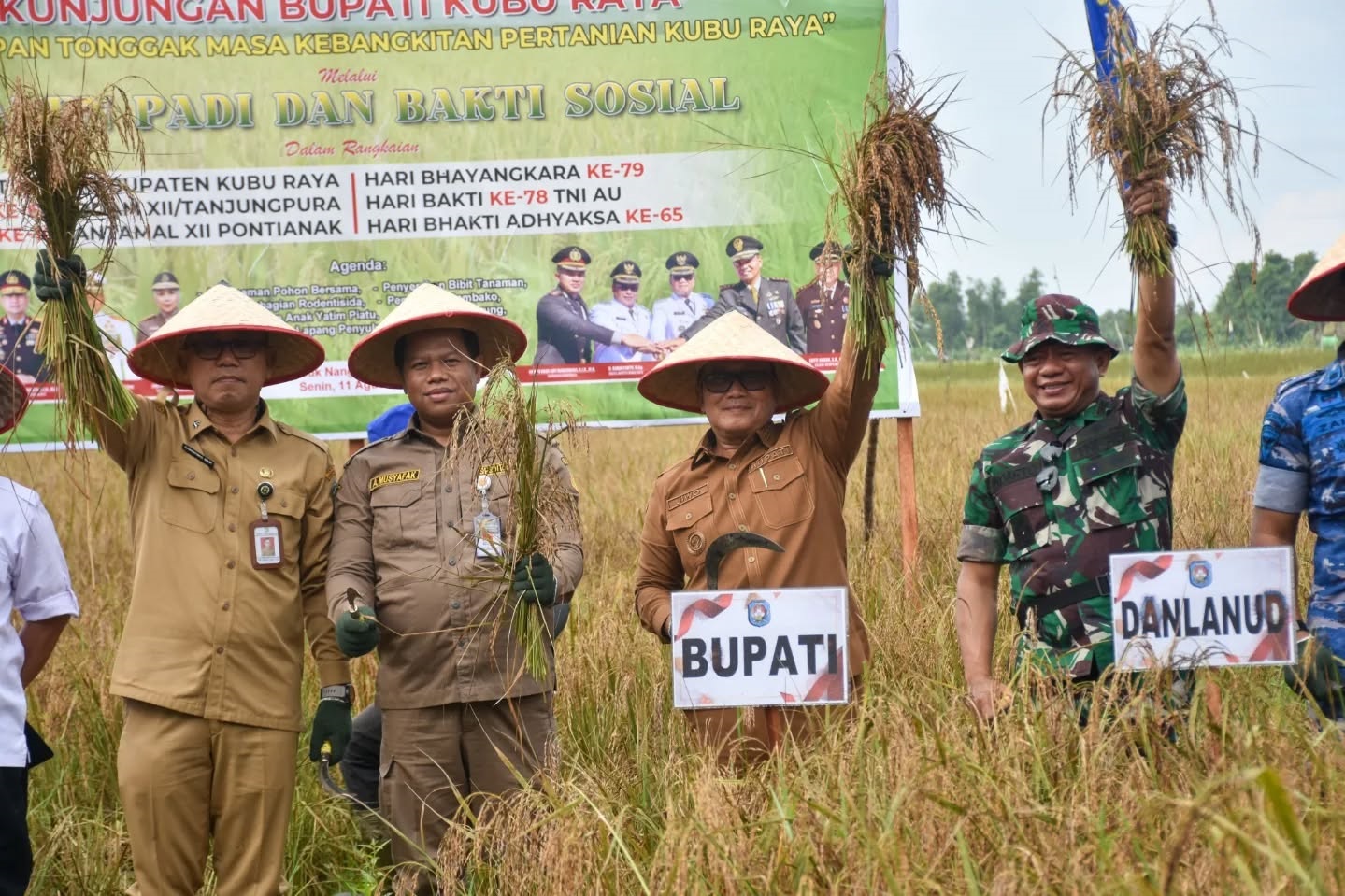 PANEN RAYA: Bupati Kubu Raya, Sujiwo, memimpin panen raya padi di Desa Teluk Nangka, Kecamatan Kubu, Senin (11/8).
