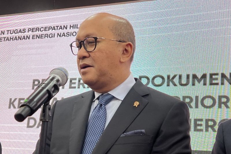 Menteri Investasi dan Hilirisasi/Kepala BKPM, Rosan Perkasa Roeslani