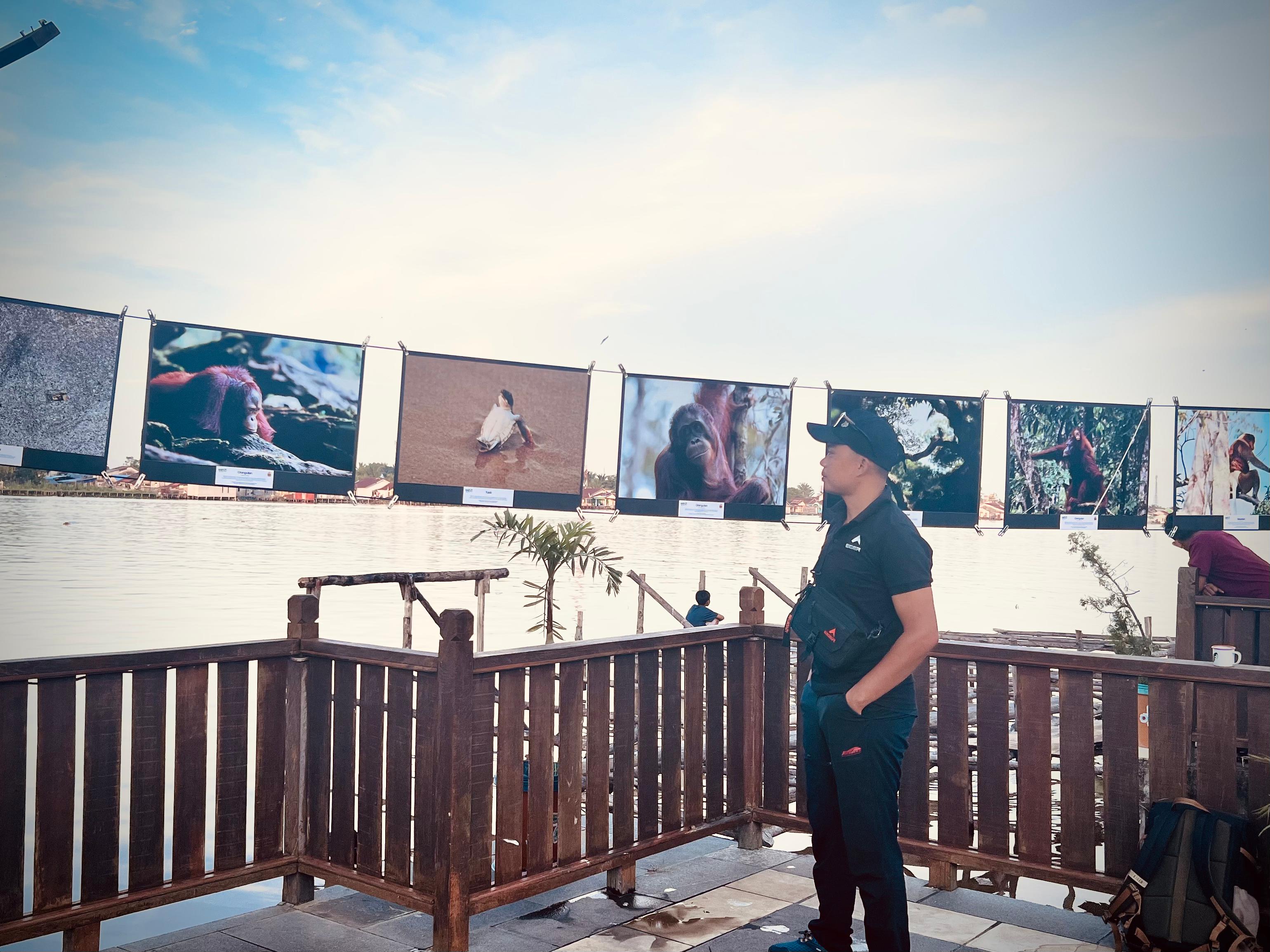 Seorang pengunjung sedang melihat pameran fotografi &ldquo;Ragam Hayati Kekuatan Kita&rdquo;, rangkaian dari Kolase Journalist Camp 2025, di bantaran Sungai Kapuas.