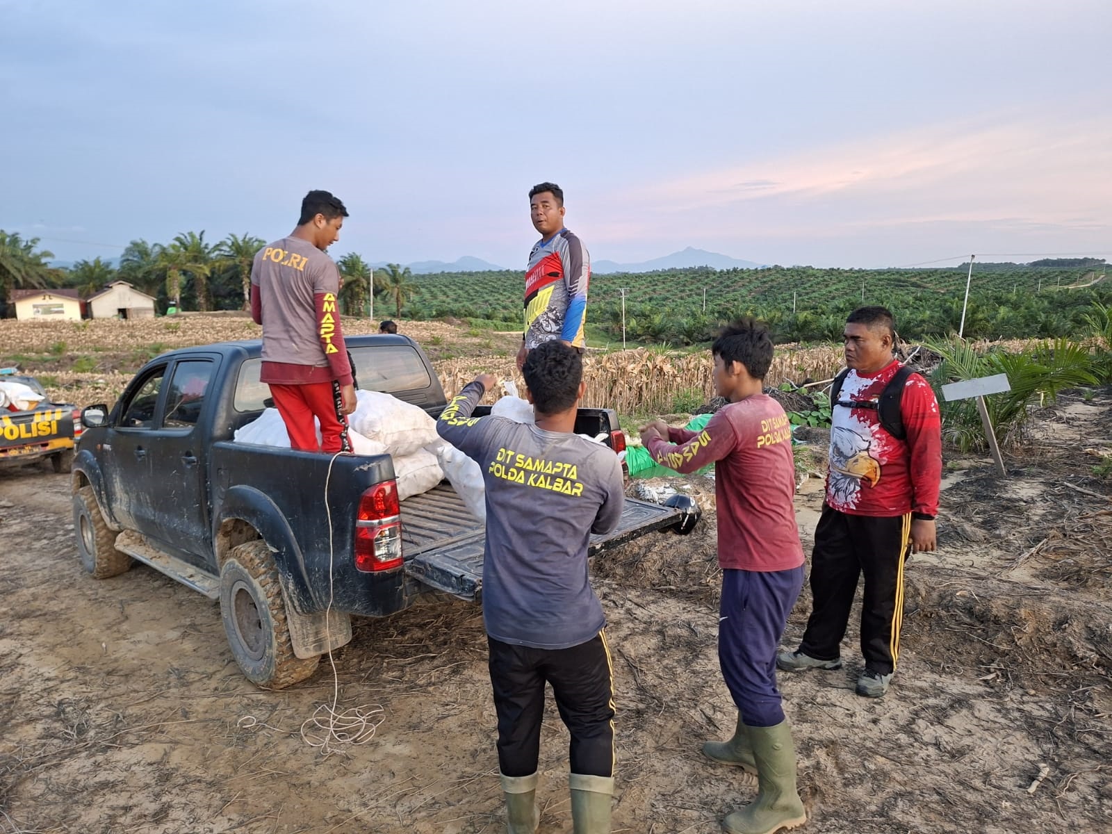 UKL : Unit Kegiatan Lapangan (UKL) Polres Landak kembali melaksanakan kegiatan pemeliharaan lahan dan panen hasil pertanian di lokasi Demplot Polres Landak.