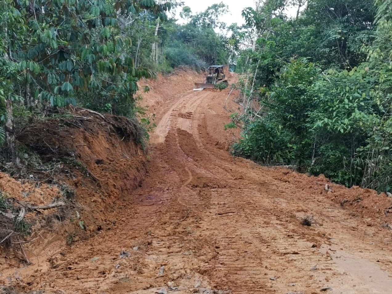 BUKA JALAN: Pembukaan jalan dalam TMMD ke-125 Kodim 1205/Sintang selesai tepat waktu.