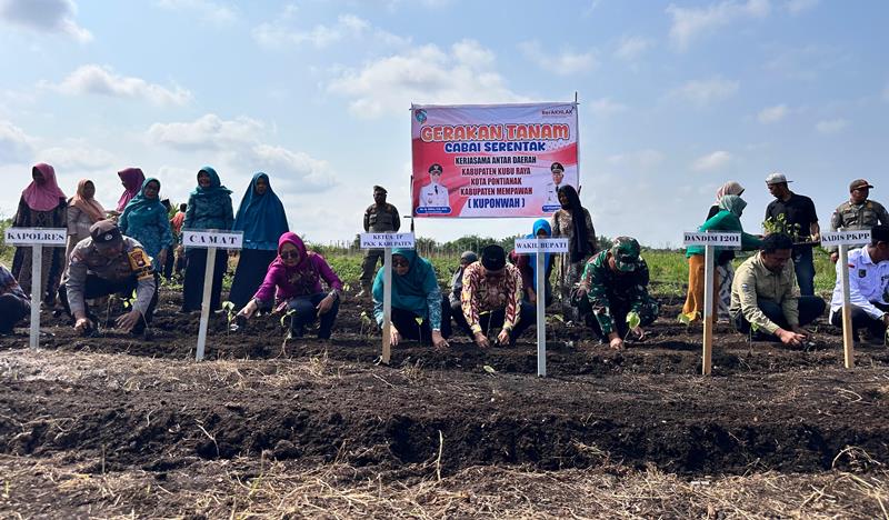 Wabup Juli Suryadi menanam cabai serentak di Desa Parit Banjar.