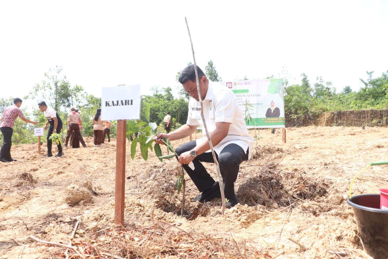 PENANAMAN  : Kejaksaan Negeri Landak melakukan penanaman pohon dalam peringatan hari lahir kejaksaan.