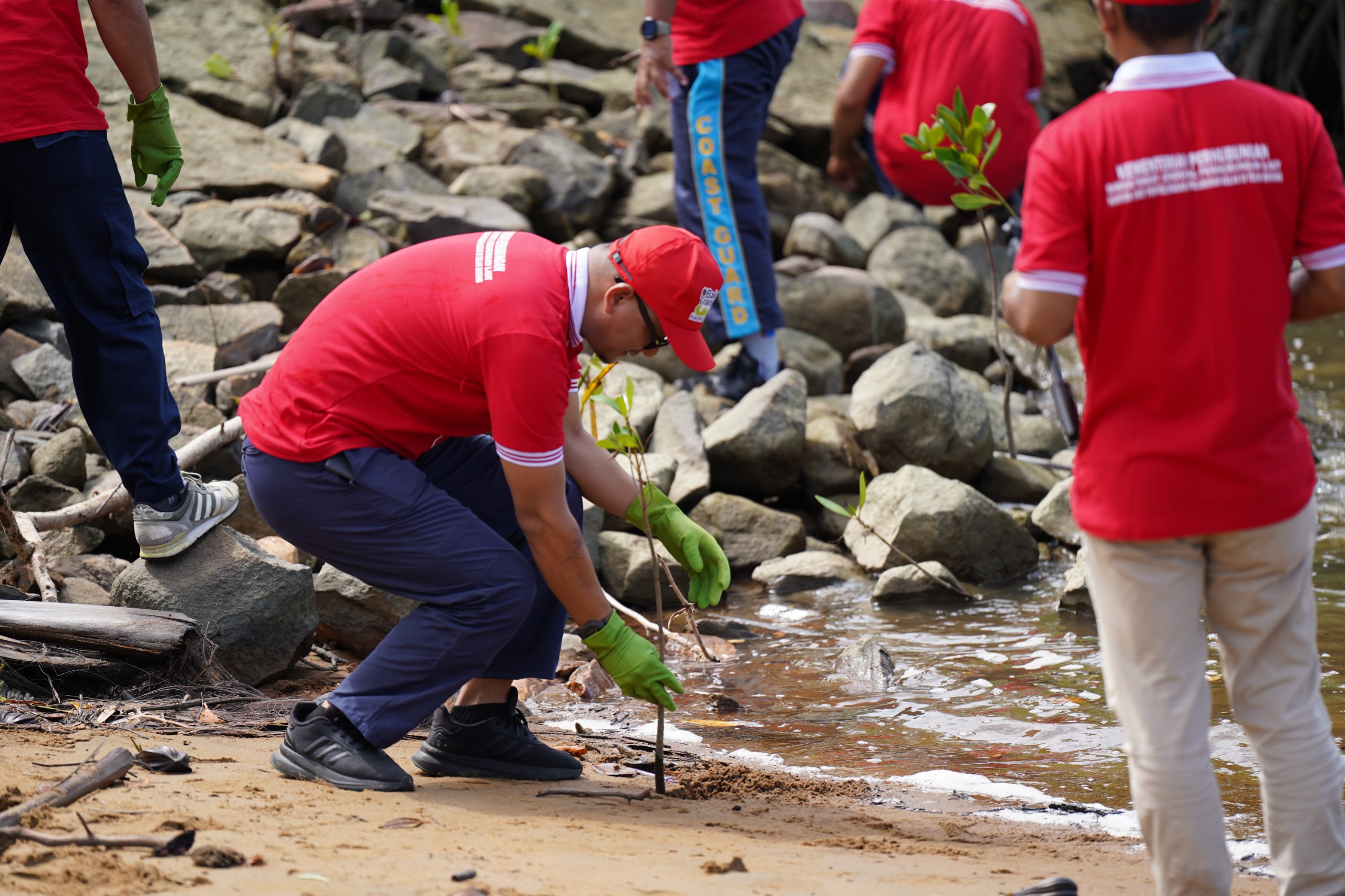 TANAM MANGROVE: Kegiatan peduli lingkungan, di antaranya penanaman bibit mangrove dan aksi bersih-bersih pantai di wilayah kerja pelabuhan.
