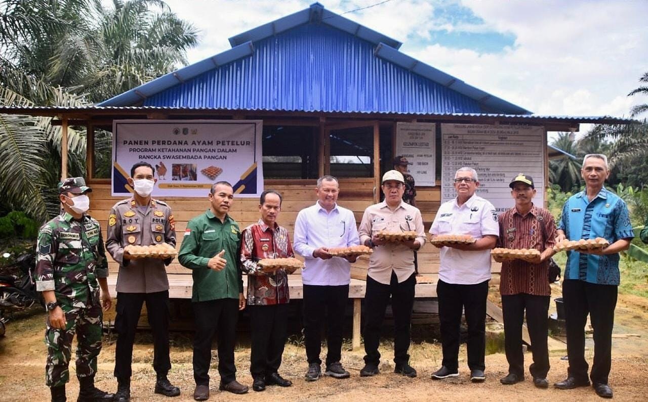 USAHA: Bumdes Maju Jaya di Desa Dak Jaya berhasil mengembangkan usaha peternakan ayam petelur sebagai penopang ekonomi warga sekaligus mendukung ketahanan pangan lokal.
