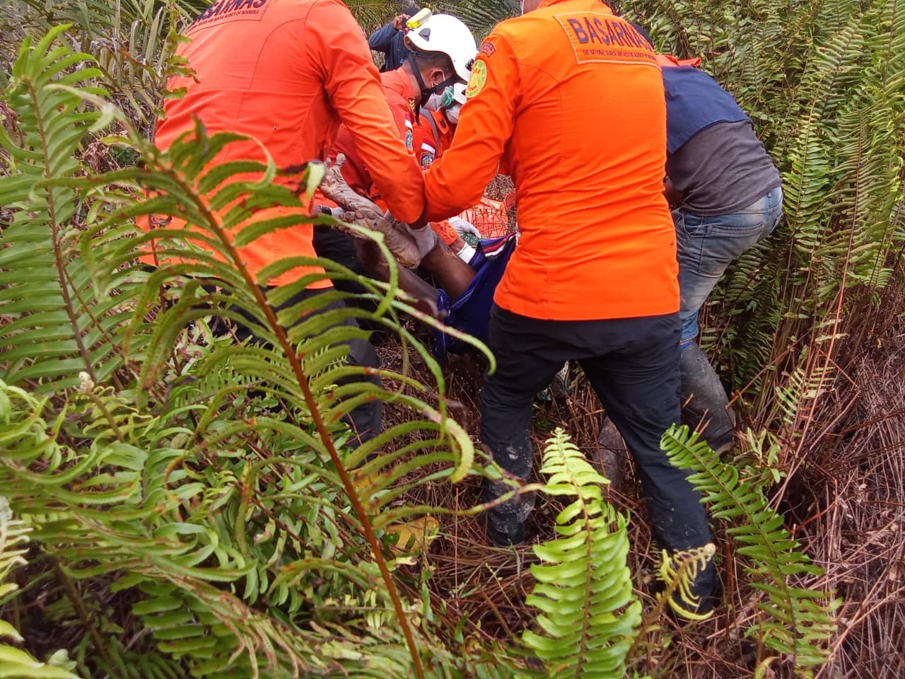 EVAKUASI: Tim SAR gabungan mengevakuasi jenazah Satrawi setelah dua hari pencarian intensif di hutan kebun Desa Sungai Enau.
