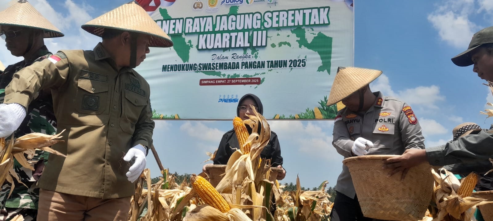 PANEN: Bupati dan Kapolres Sambas saat melaksanakan panen serentak di Arung Kuang, Kecamatan Tangaran.