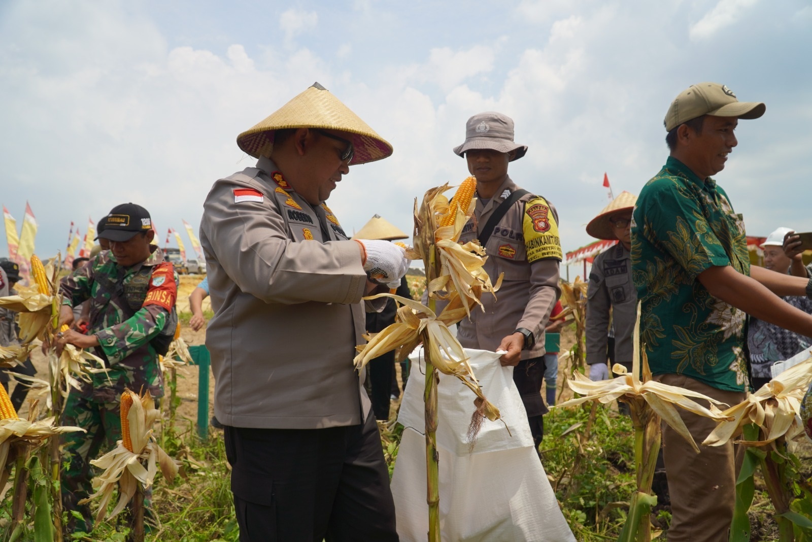 PANEN : Kapolres Kapuas Hulu AKBP Roberto Aprianto Uda saat panen raya jagung di Kecamatan Semitau.