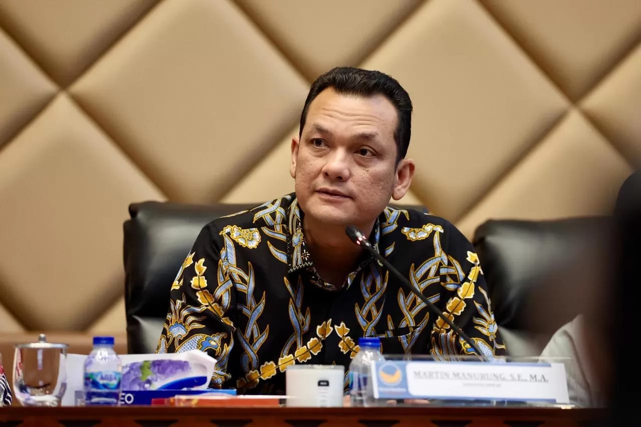 Wakil Ketua Badan Legislasi DPR RI, Martin Manurung.