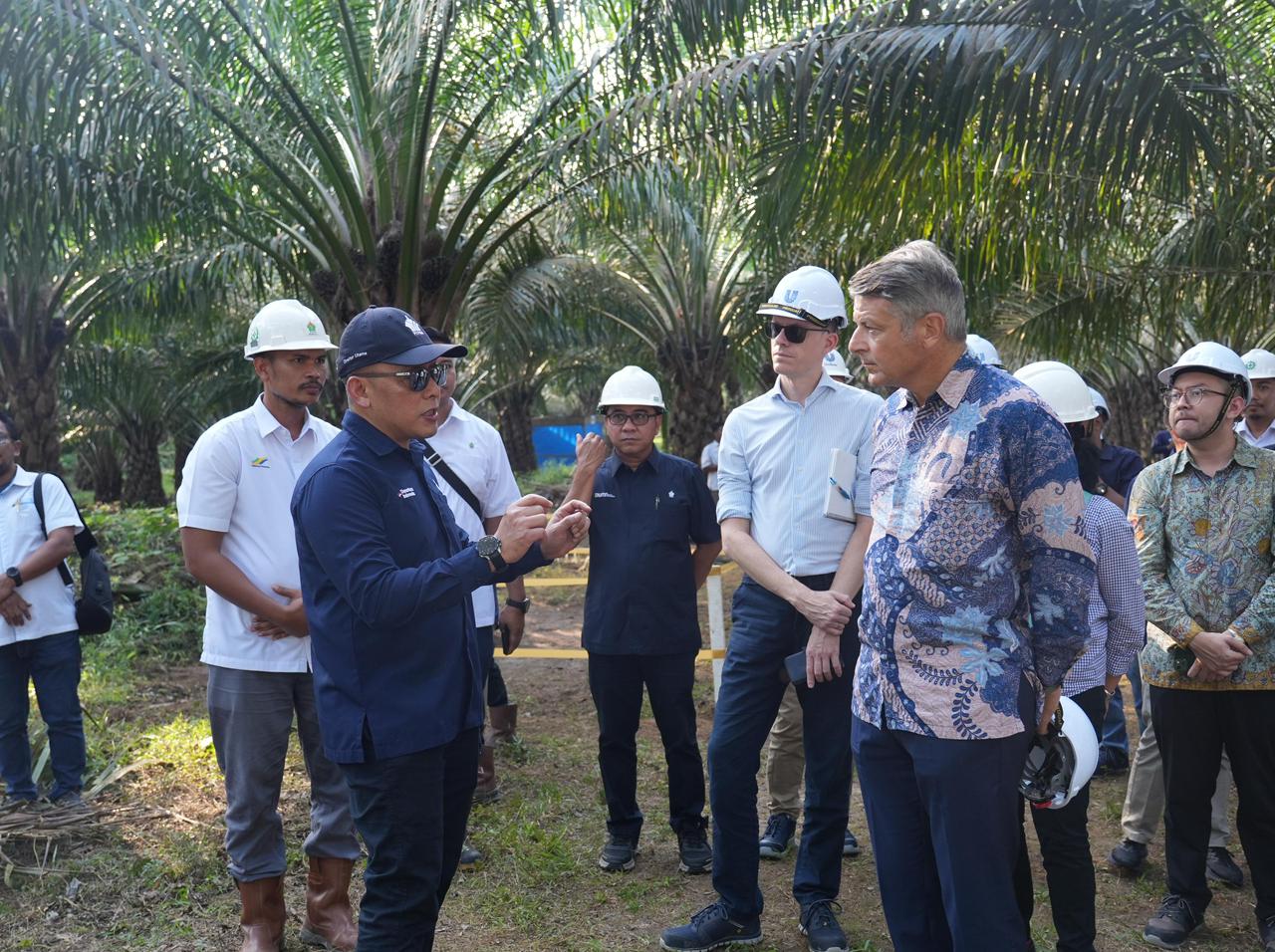 Kunjungan Duta Besar Uni Eropa untuk Indonesia, Denis Chaibi ke perkebunan kelapa sawit dan Kebun Rambutan milik PalmCo, Selasa (7/10/2025).