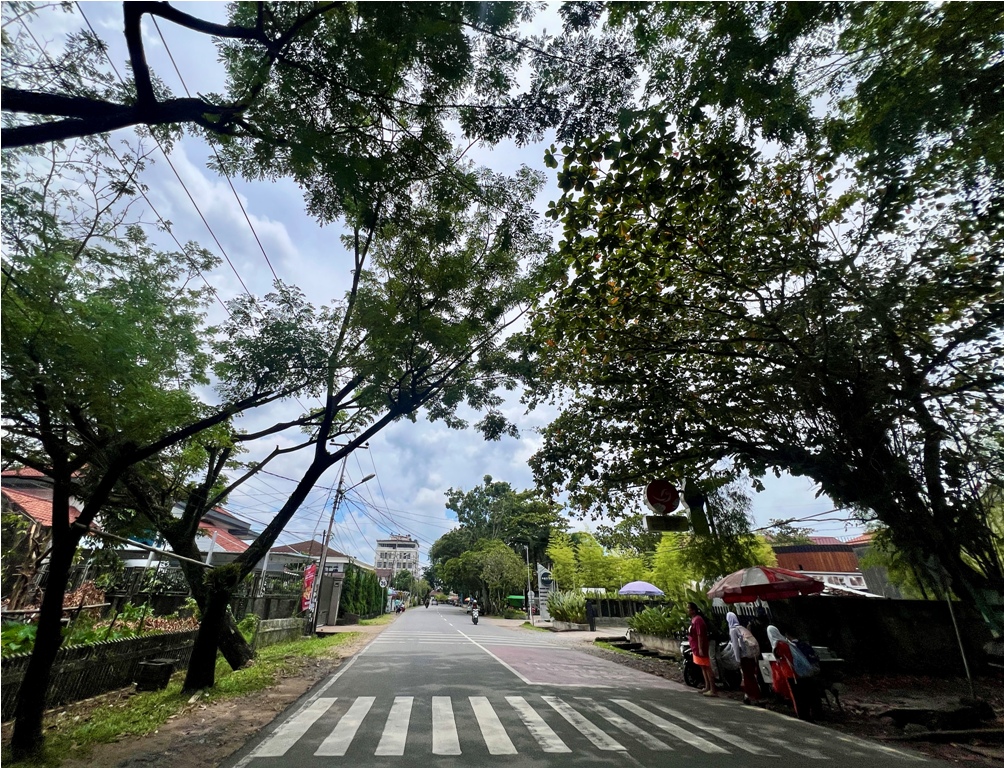 RINDANG : Beberapa pohon di Jalan S.Parman terlihat rindang hingga ke badan jalan. Masyarakat harus lebih berhati-hati saat melintas, apalagi saat musim hujan tiba, tak sedikit pohon tumbang dibeberap