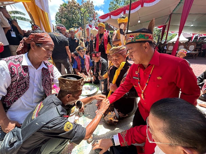 RITUAL ADAT: Wakil Gubernur Kalbar Krisantus Kurniawan bersama Bupati Ketapang Alexander Wilyo menghadiri ritual Naik Jurongk Tinggi, wujud syukur dan pelestarian budaya masyarakat adat Dayak.