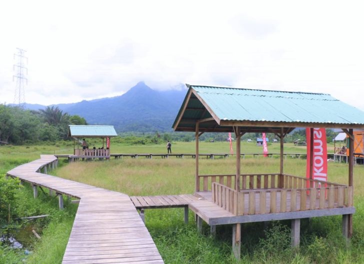 DESA AGRO-EDUWISATA: Suasana kawasan Agro-eduwisata Sawah Nyarumkop, inovasi wisata edukatif berbasis pertanian yang digagas masyarakat Nyarumkop.