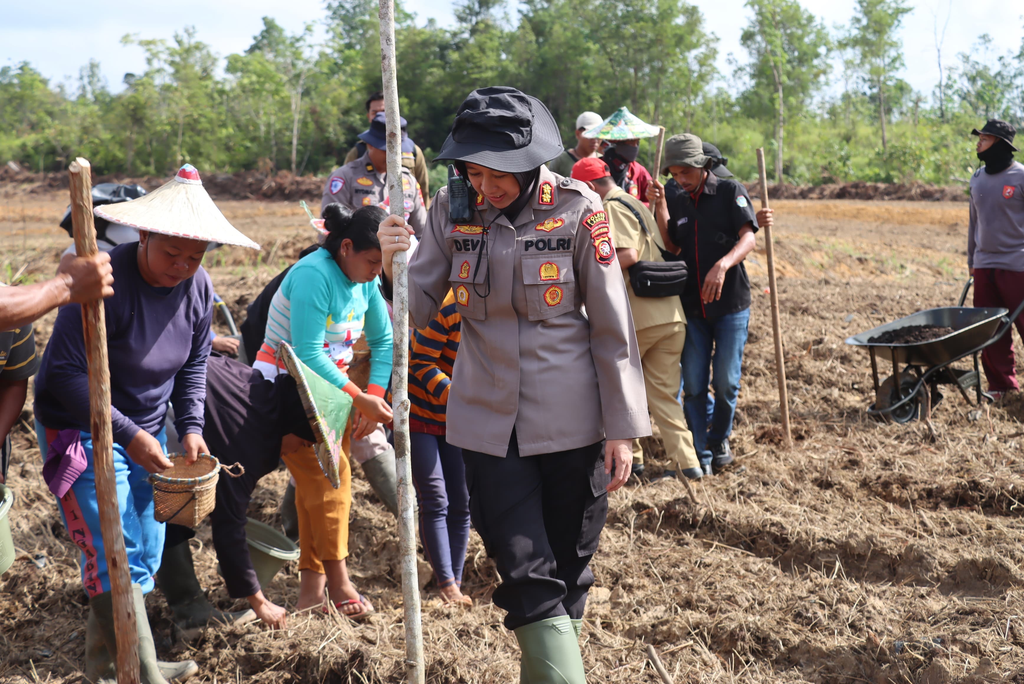 PENANAMAN : Kapolres Landak AKBP Devi Ariantari saat melakukan penanaman bibit jagung di demplot presisi di Dusun Asam Mare, Desa Nyiin, Kecamatan Jelimpo.