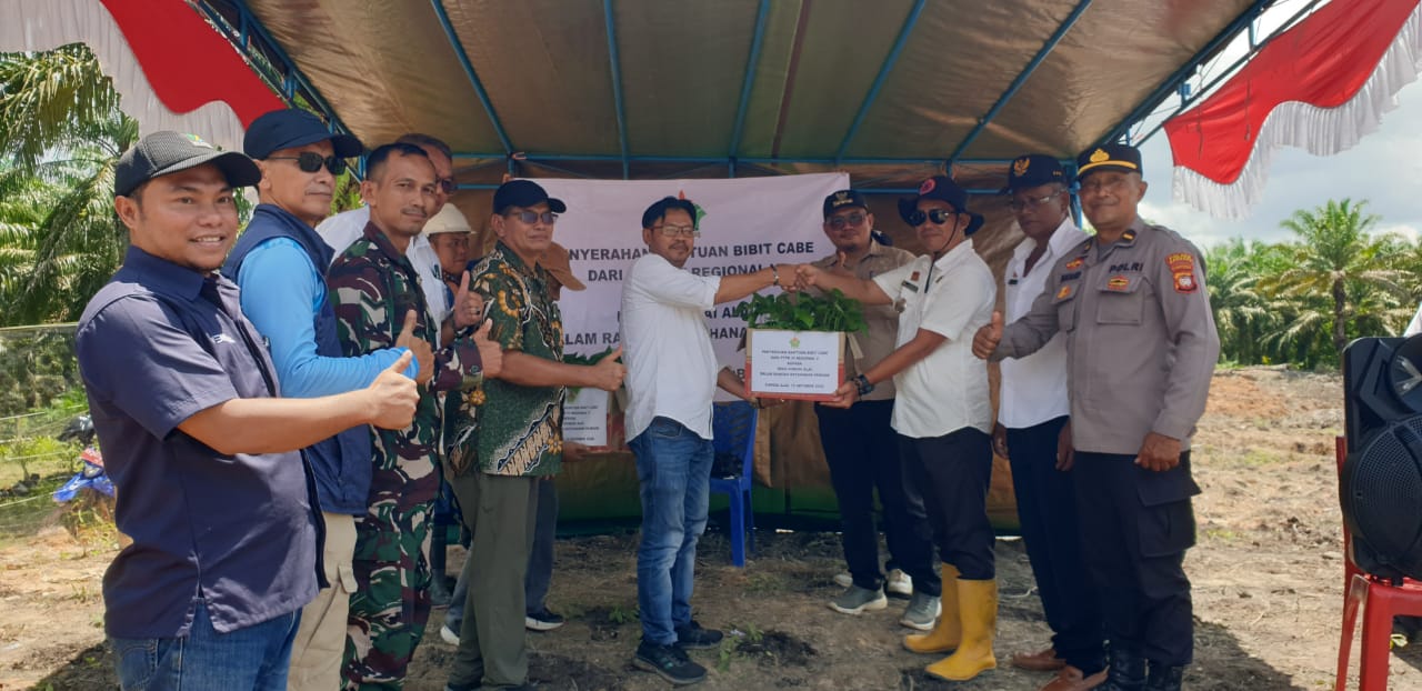 SERAHKAN : PTPN IV Regional V menyerahkan 500 bibit cabai rawit kepada masyarakat Desa Sungai Alai, Kecamatan Sanggau Kapuas pada Jumat (12/10).
