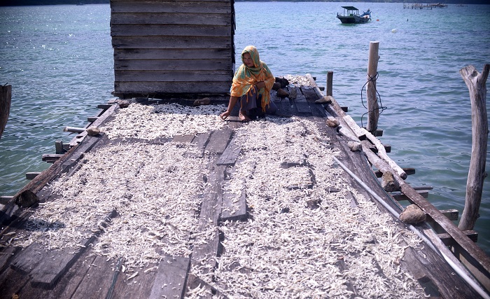 1.	JEMUR IKAN: Rustina (50), saat menjemur ikan teri hasil tangkapan suaminya, Diman (54), di sudut rumahnya di Dusun Kelawar, Desa Pelapis, Jumat (29/9). Diman dan Rustina merupakan satu dari 349 KK