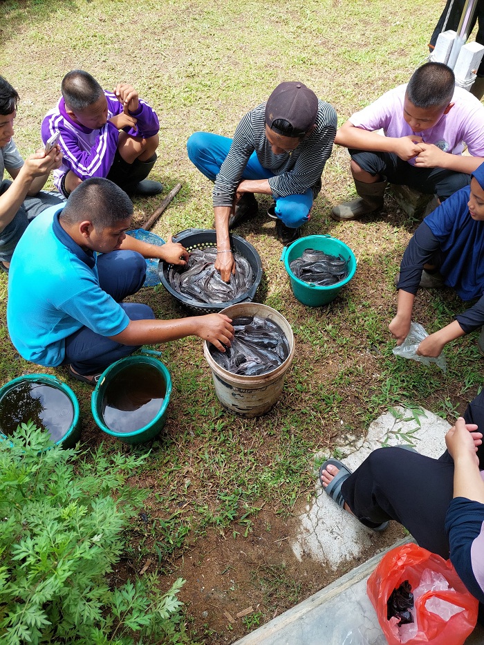 PANEN LELE: Anak-anak difabel yang tergabung dalam Kampung Patra Berdikari sedang memanen lele di Desa Limbung, Kecamatan Sungai Raya, Kabupaten Kubu Raya.