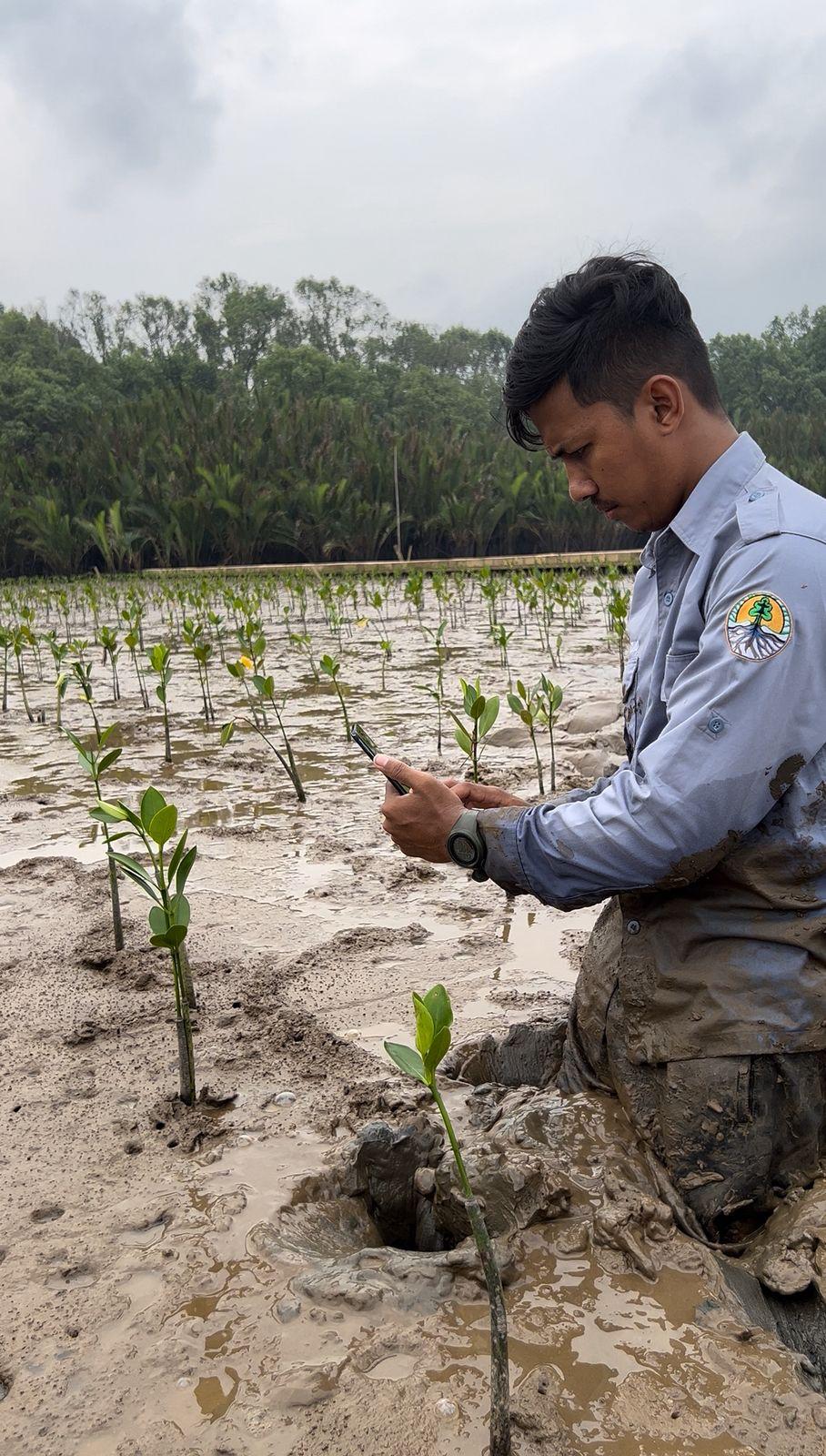 DIGITALISASI MANGROVE: Rudi Hartono atau Rudi Bacok, penggagas Ekowisata Mangrove Telok Berdiri di Desa Sungai Kupah, menunjukkan aplikasi penanaman mangrove digital yang ia kembangkan bersama warga.